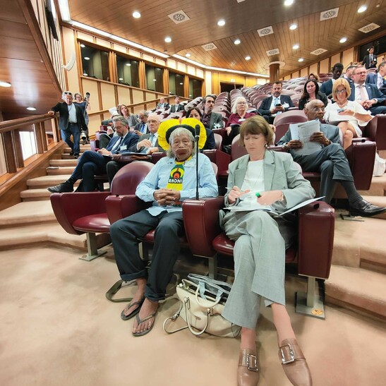 Raoni foi ovacionado no Vaticano em cúpula sobre clima