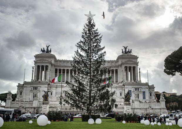 Natale: Roma, albero piazza Venezia dopo la pioggia (ANSA)