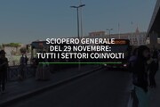 LA VIDEOGRAFICA - Tutti i settori coinvolti