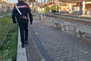 Capotreno accoltellato a Rivarolo, fermati due aggressori