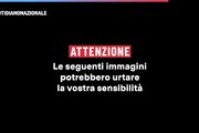 Vídeo mostra prisão de jovem italiano nos EUA