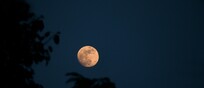 Una Superluna (fonte:  Rupesh kumar Pandey da Pexels)