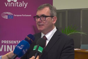 Danese (Veronafiere), "Vino comparto strategico del settore, e Vinitaly fiera determinante" (ANSA)