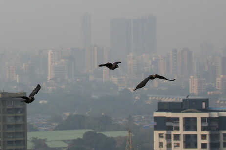 Poluição do ar em Mumbai