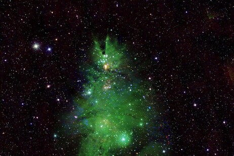 Conglomerado de estrelas NGC 2264 (Foto: Nasa)