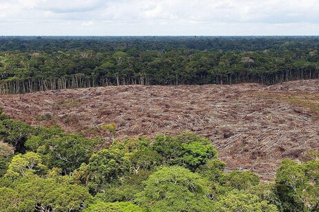 Área desmatada na Amazônia brasileira