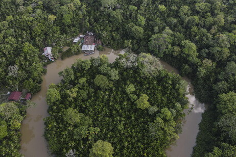 Área da Floresta Amazônica no Pará