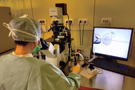 Procedimento de fertilização in vitro em clínica italiana