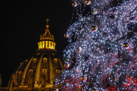 El árbol navideño del Papa Francisco, a riesgo