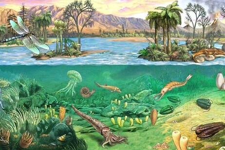 El período Pérmico es el último de la era Paleozoica, que dura desde hace 540 a 252 millones de años.