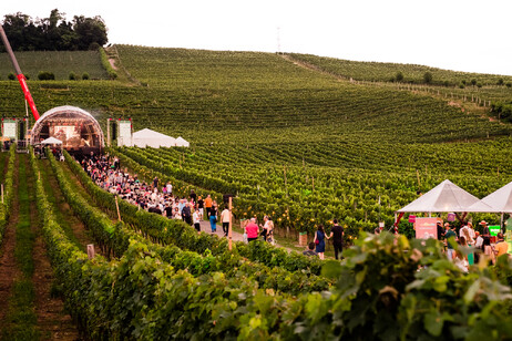 Evento leva clima natalino para vinhedos na Serra Gaúcha