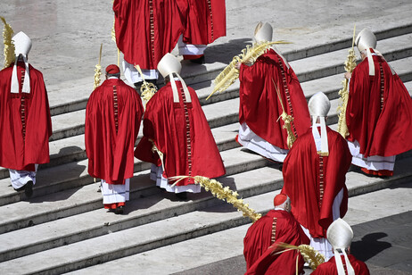 Nuevas designaciones de cardenales