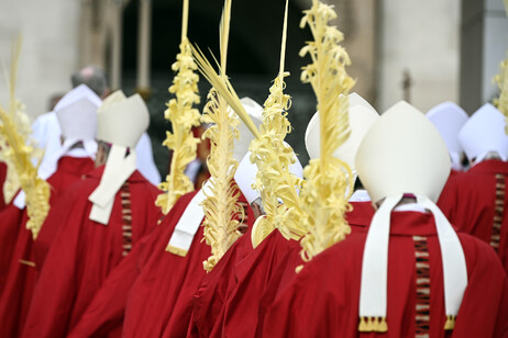 Anuncio de nuevos cardenales