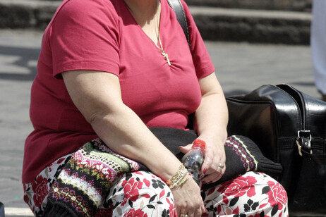 Estudo avalia obesidade e sobrepeso em italianos (Foto: ANSA)