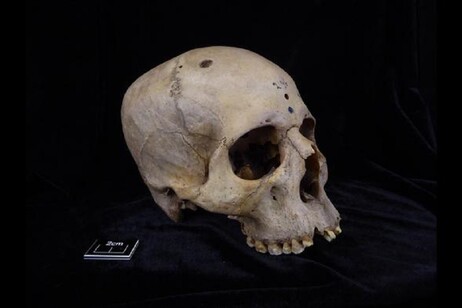 Il cranio 236 apparteneva a un trentenne vissuto nell’Antico Egitto (fonte: Tondini, Isidro, Camarós, 2024)