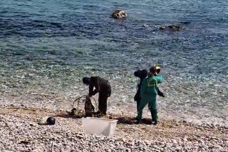 Scomparsa in Abruzzo,ricerche con cinofili e subacquei