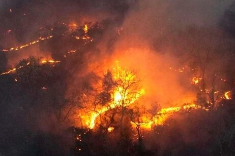 Área queimada atingiu a marca de 627 mil hectares