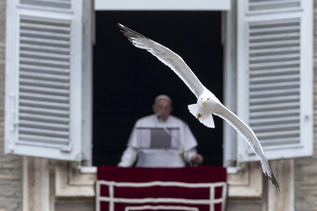 Papa celebra Angelus na janela do Palácio Apostólico