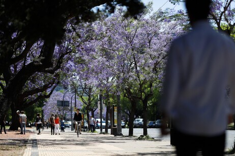 Buenos Aires, una de las ciudades elegidas por los italianos que optan por vivir en el exterior (ANSA)