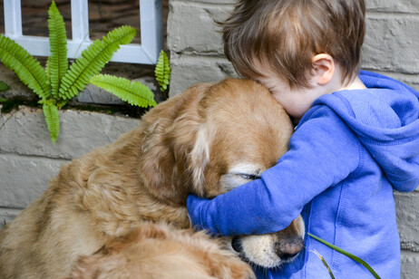 L'empatia fra esseri umani e cani è più profonda del previsto (fonte: Holly_Powers, iStock)