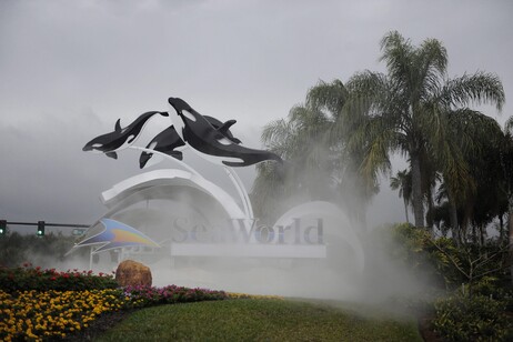 SeaWorld, turismo, belleza y conservación