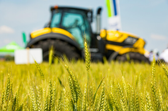 L'Ice porta aziende meccanizzazione agricola in Tunisia