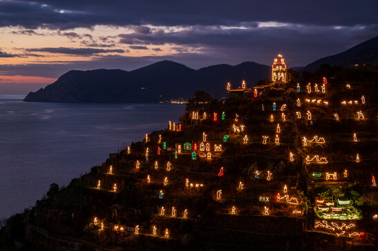 Buon Natale dall'ANSA con il bellissimo presepe di luci di Manarola