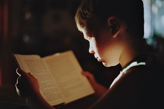 Un ragazzo intento a leggere (fonte: Sabrina Eickhoff da Pixabay)