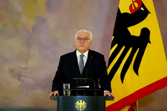 Steinmeier a Musk: "L'influenza su X minaccia la democrazia"