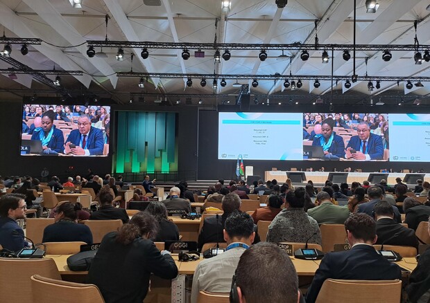 ++ Cop29 approva il mercato internazionale del carbonio ++ (ANSA)