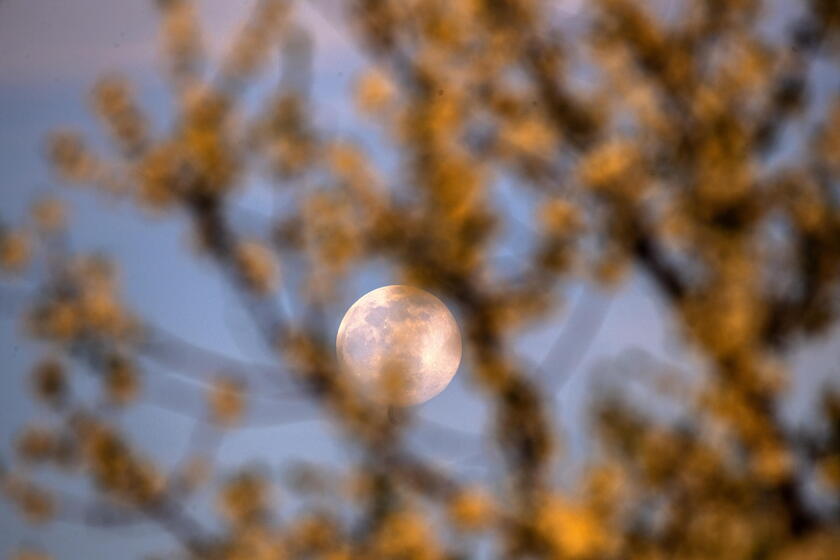 Lua Rosa na Macedônia do Norte