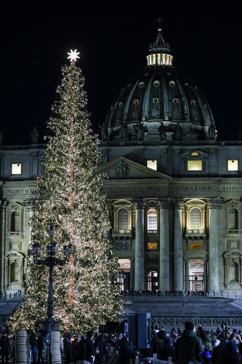 Árvore de Natal foi inaugurada no último fim de semana