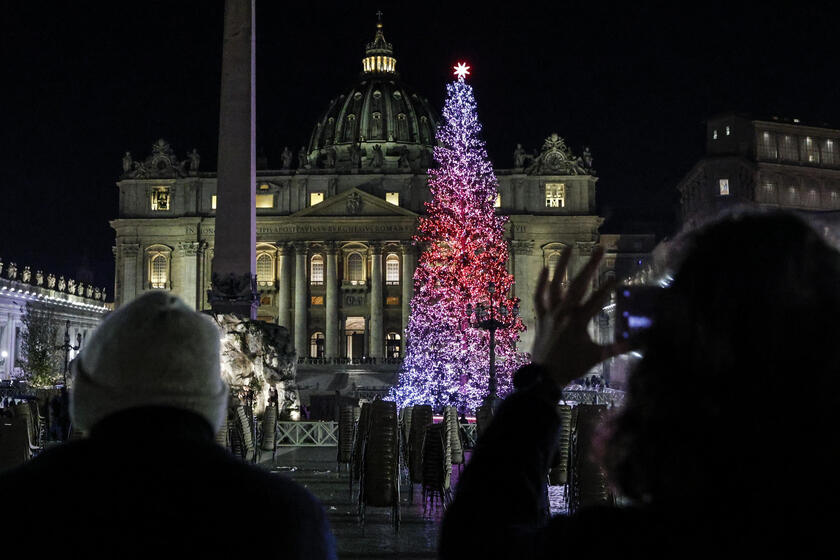 Accensione albero di Natale a San Pietro - RIPRODUZIONE RISERVATA