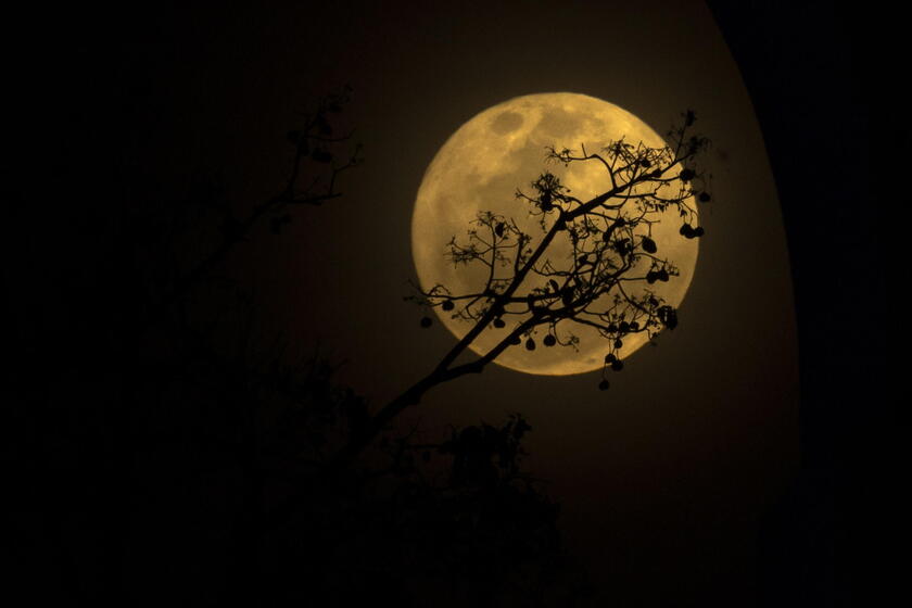 Superlua vista no Rio de Janeiro