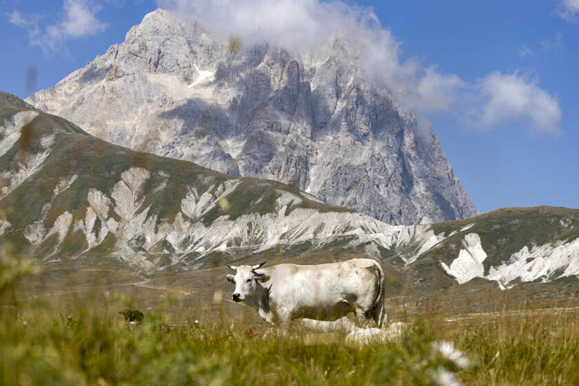 Destinos de inverno na Itália, como os Alpes Apeninos, são procurados até no verão (Foto: Massimo Percossi/ANSA)