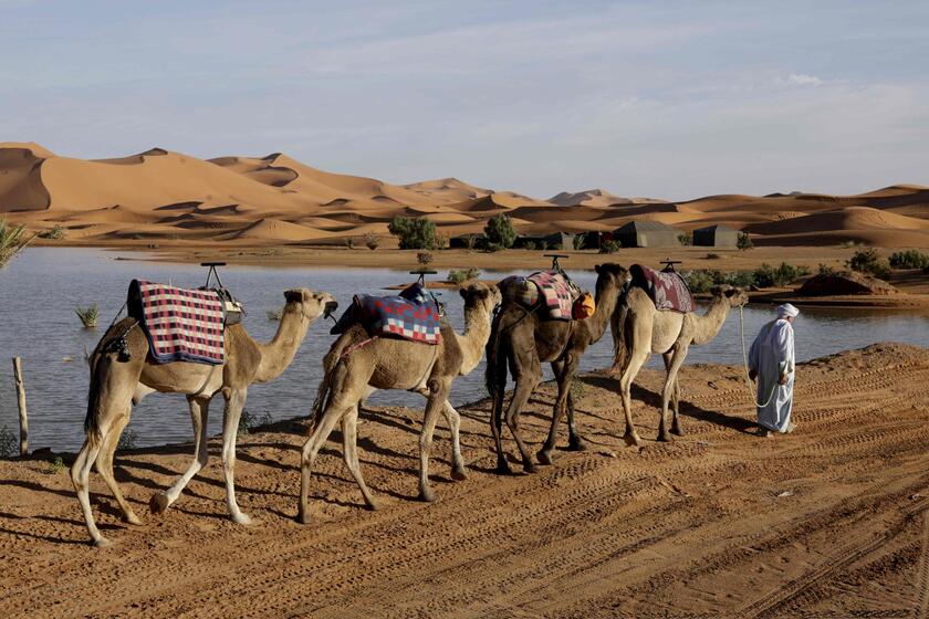 Sahara, alluvione nel deserto