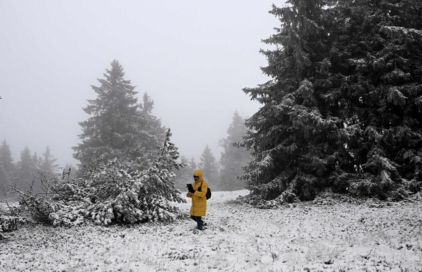 Germania: la neve disegna i paesaggi