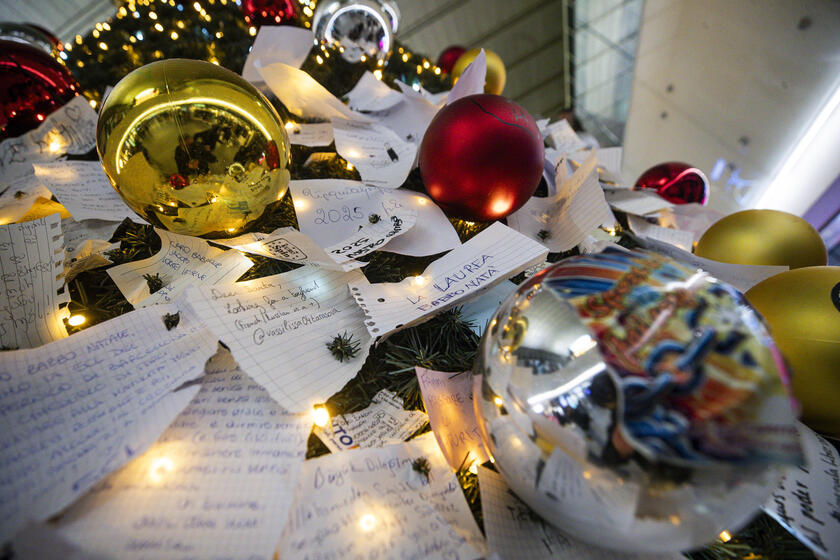 Biglietti affissi all'albero di Natale della stazione Termini a Roma