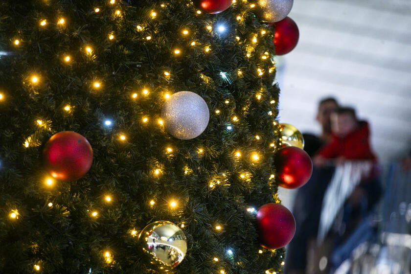 Biglietti affissi all'albero di Natale della stazione Termini a Roma