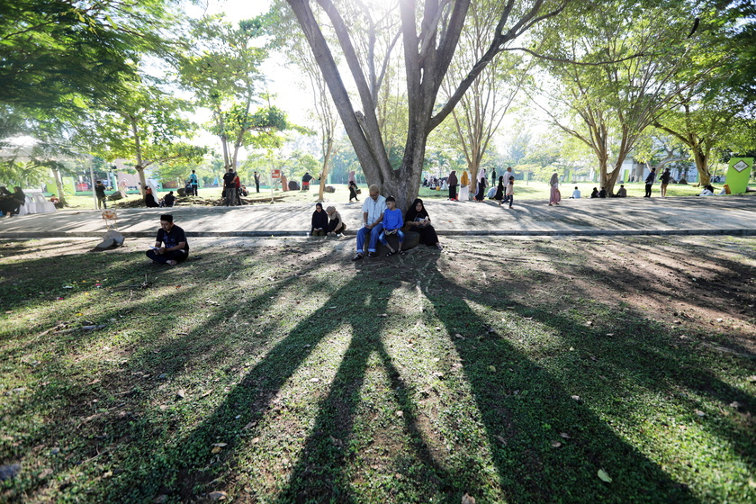 Commemoration of the 20th anniversary of the Indian Ocean Tsunami