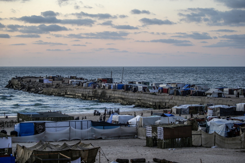 Displaced Palestinians settle in new Khan Yunis camp after evacuating Rafah