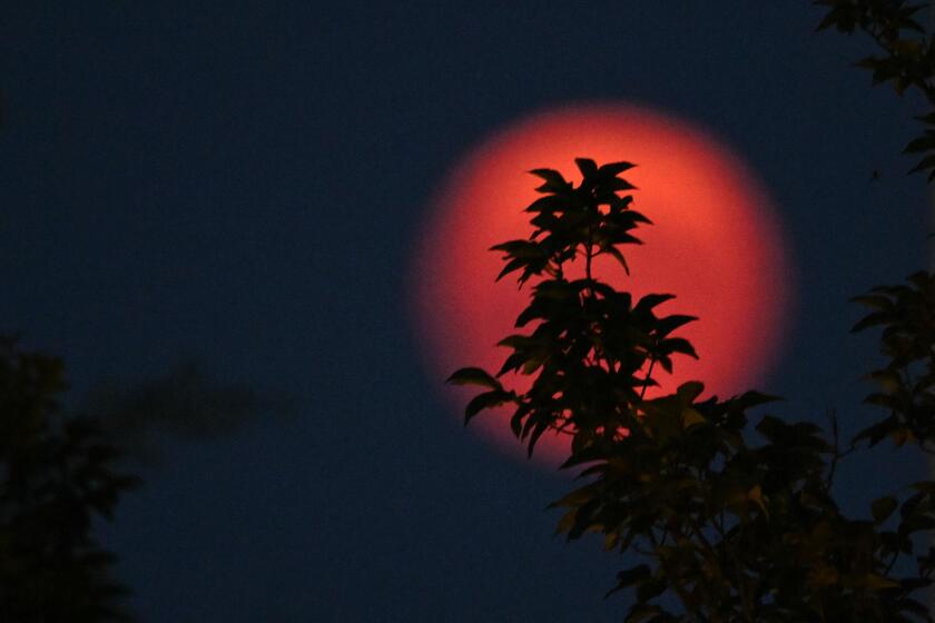 La luna llena de Esturión