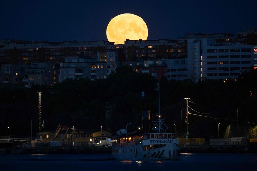 La luna llena de Esturión