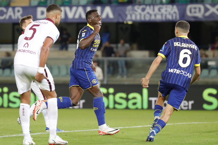 Soccer: Serie A; Hellas Verona vs Torino Fc