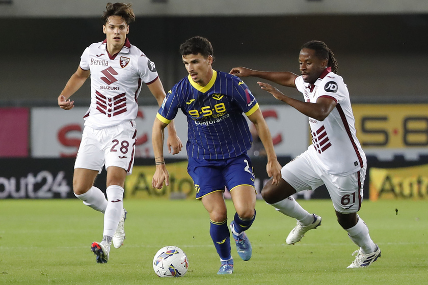 Soccer: Serie A; Hellas Verona vs Torino Fc