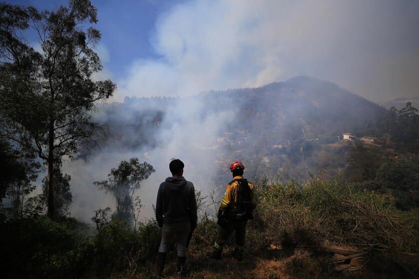 Los incendios forestales no dan tregua en Quito