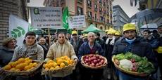 Agricoltura: crisi colpisce in Campania, cala numero imprese