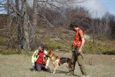 Cani Soccorso Alpino a scuola su Majella