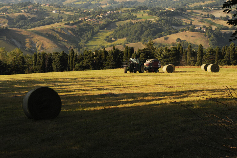 Via libera dall 'Ue all 'Italia a 167 milioni di aiuti per agricoltori - RIPRODUZIONE RISERVATA