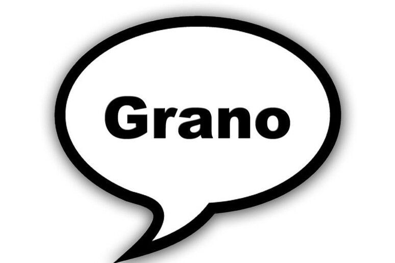 Parola della settimana - Grano - RIPRODUZIONE RISERVATA